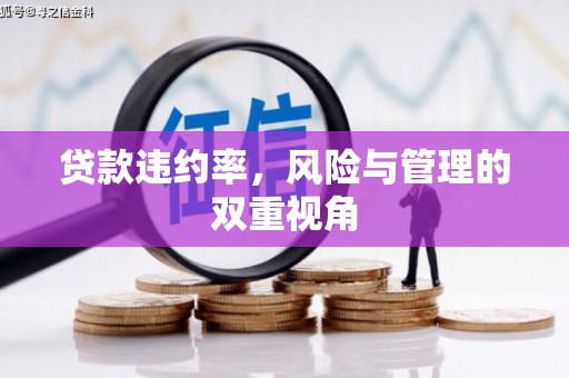 鹿港贷款违约率，风险与管理的双重视角