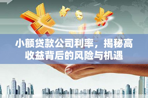 鹿港小额贷款公司利率，揭秘高收益背后的风险与机遇