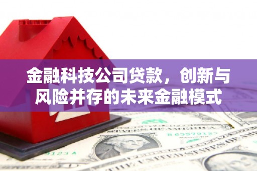 鹿港金融科技公司贷款，创新与风险并存的未来金融模式