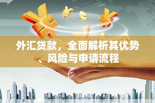 鹿港外汇贷款，全面解析其优势、风险与申请流程