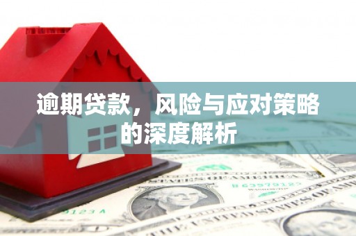 鹿港逾期贷款，风险与应对策略的深度解析
