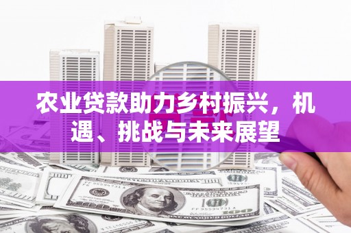 鹿港农业贷款助力乡村振兴，机遇、挑战与未来展望