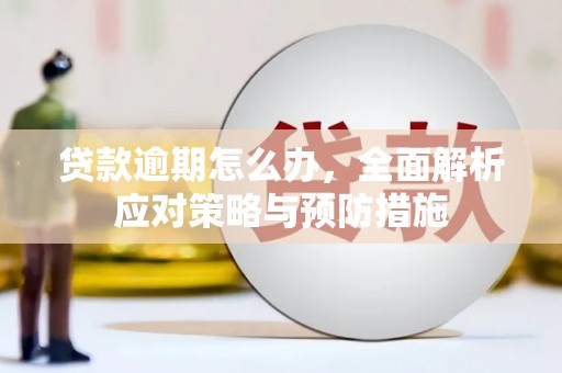 鹿港贷款逾期怎么办，全面解析应对策略与预防措施