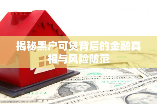 鹿港揭秘黑户可贷背后的金融真相与风险防范