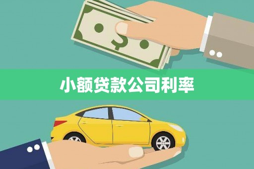 鹿港小额贷款公司利率
