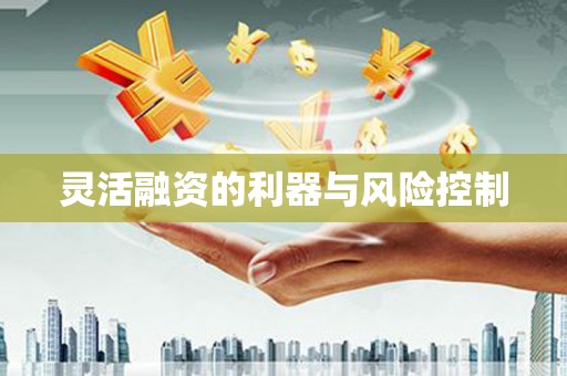 鹿港灵活融资的利器与风险控制