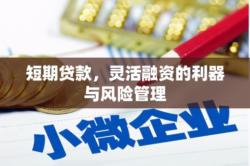 鹿港短期贷款，灵活融资的利器与风险管理