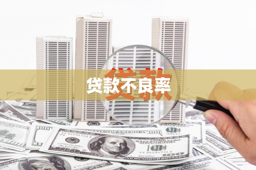 鹿港贷款不良率