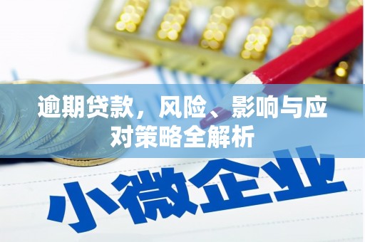 鹿港逾期贷款，风险、影响与应对策略全解析