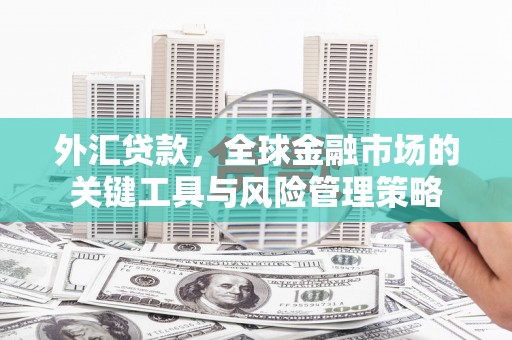 鹿港外汇贷款，全球金融市场的关键工具与风险管理策略