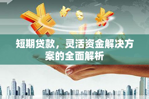 鹿港短期贷款，灵活资金解决方案的全面解析