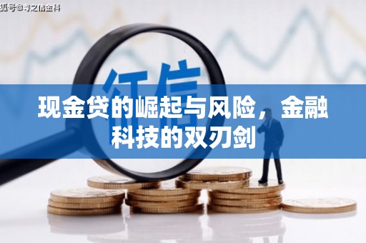 鹿港现金贷的崛起与风险，金融科技的双刃剑
