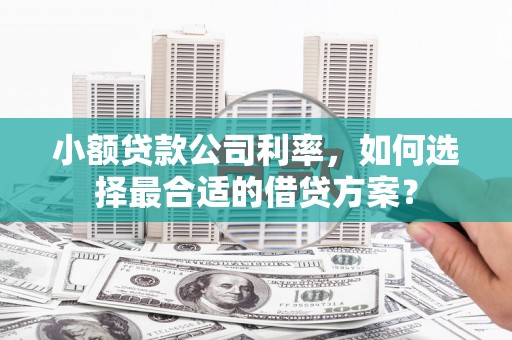 鹿港小额贷款公司利率，如何选择最合适的借贷方案？