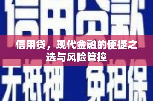 鹿港信用贷，现代金融的便捷之选与风险管控