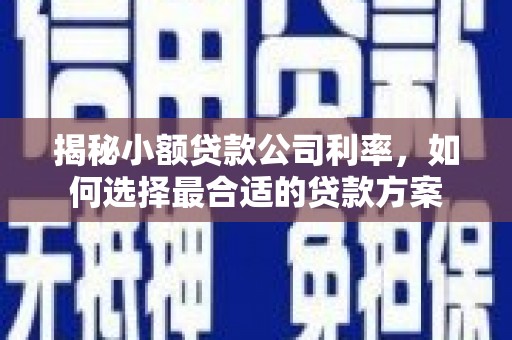 鹿港揭秘小额贷款公司利率，如何选择最合适的贷款方案