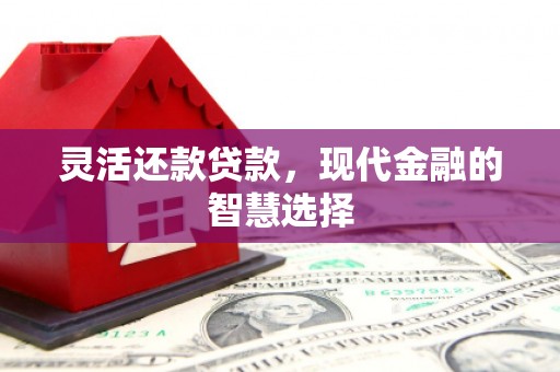 鹿港灵活还款贷款，现代金融的智慧选择