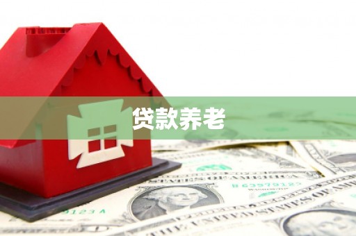 鹿港贷款养老