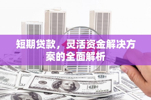 鹿港短期贷款，灵活资金解决方案的全面解析