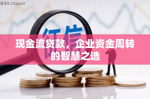 鹿港现金流贷款，企业资金周转的智慧之选