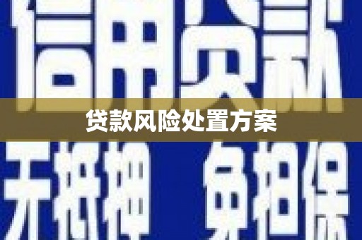 鹿港贷款风险处置方案