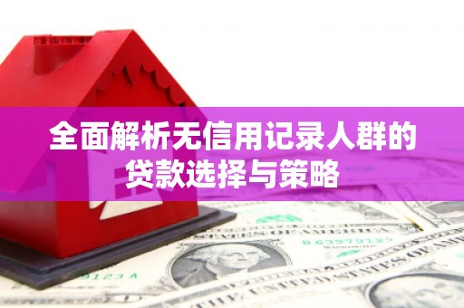 鹿港全面解析无信用记录人群的贷款选择与策略
