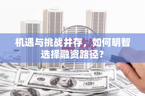 鹿港机遇与挑战并存，如何明智选择融资路径？