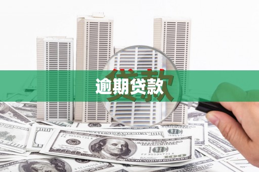 鹿港逾期贷款