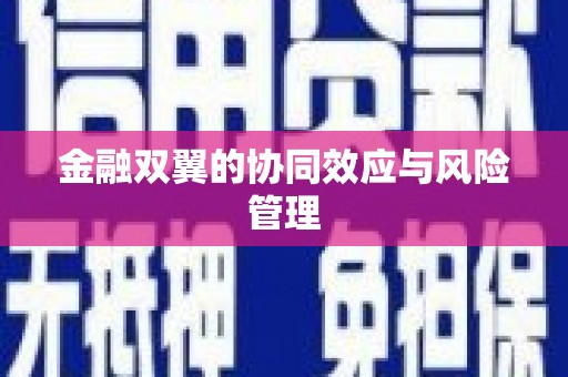 鹿港金融双翼的协同效应与风险管理