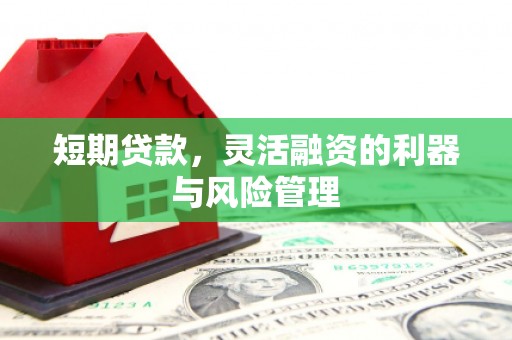 鹿港短期贷款，灵活融资的利器与风险管理