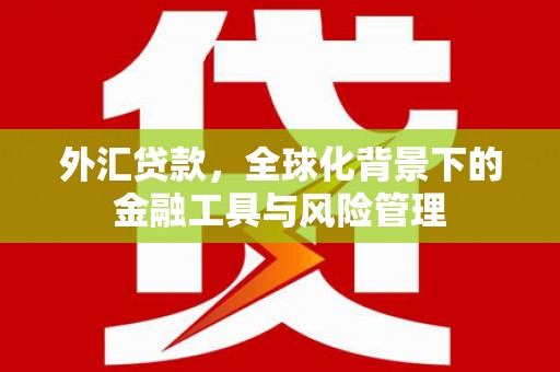 鹿港外汇贷款，全球化背景下的金融工具与风险管理