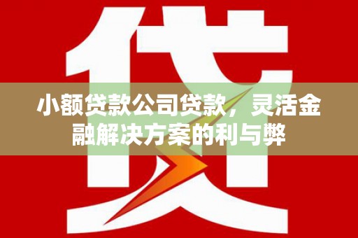 鹿港小额贷款公司贷款，灵活金融解决方案的利与弊