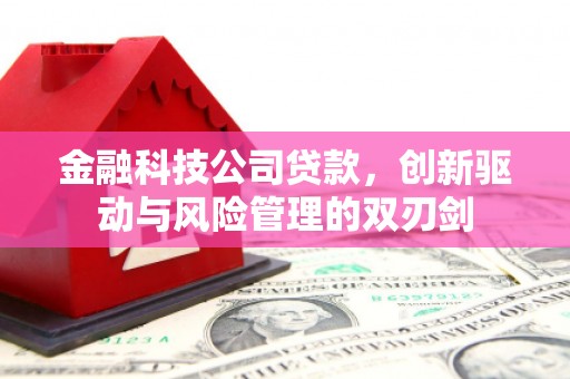 鹿港金融科技公司贷款，创新驱动与风险管理的双刃剑